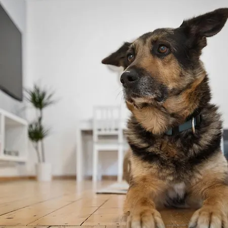 Ferienhaus für Mensch&Hund mit großer Terrasse Apartamento Andernach